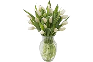 KaBloom PRIME NEXT DAY DELIVERY - Fall Collection - Bouquet of 20 White Tulips Farm-Fresh WithVase|Gift for Birthday, Anniversary, Get Well, Thank You, Valentine, Mother’s Day Fresh Flowers