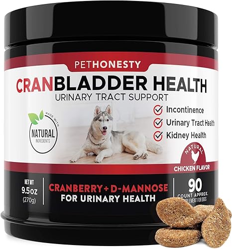 cat incontinence treatment