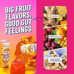 wildwonder Sparkling Probiotic Drink 12pk, For Gut