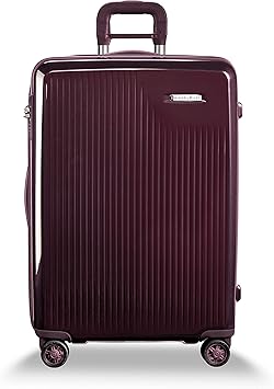 27 inch luggage