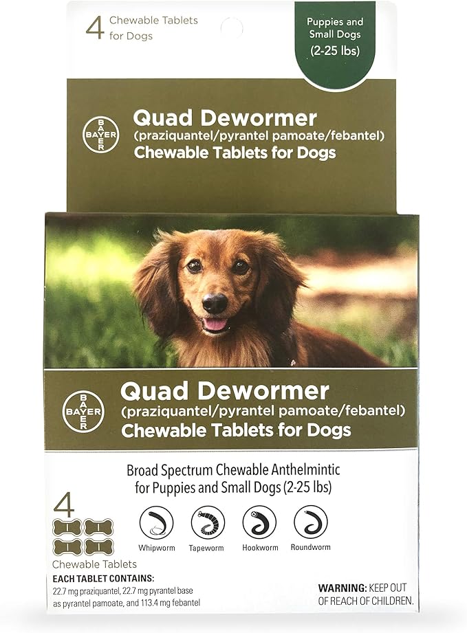 bayer heartworm prevention