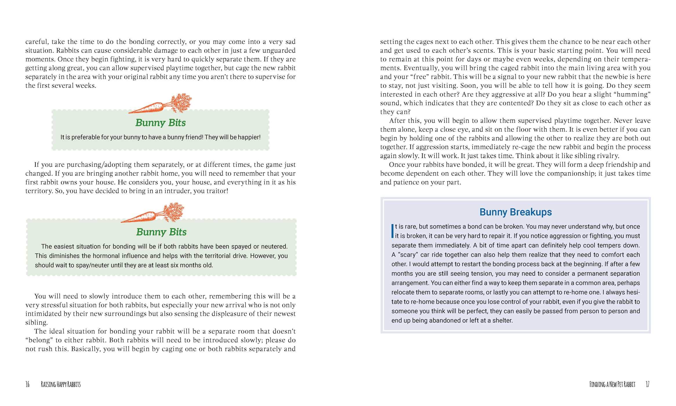 Raising Happy Rabbits: Housing, Feeding, and Care Instructions for Your Rabbit's First Year