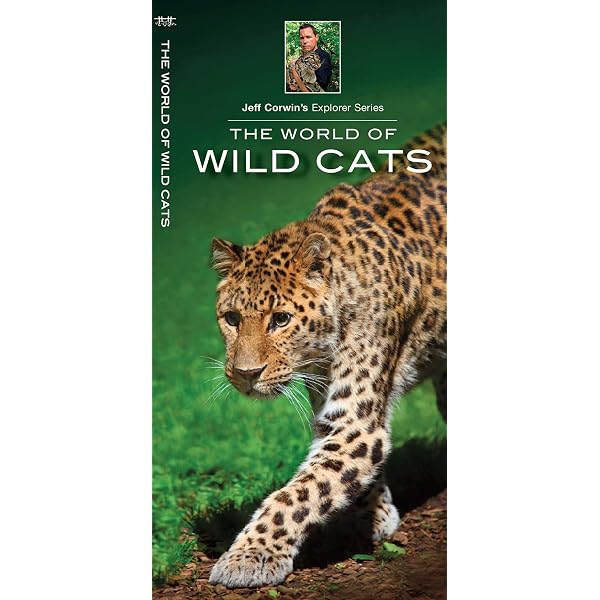 Wild Dogs of the World: Cox, Barbara G.: 9780997374506: Amazon.com