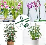 Realure Orchid Sticks 30 cm Pack 15 Adjustable Plant Support Trellis view 7