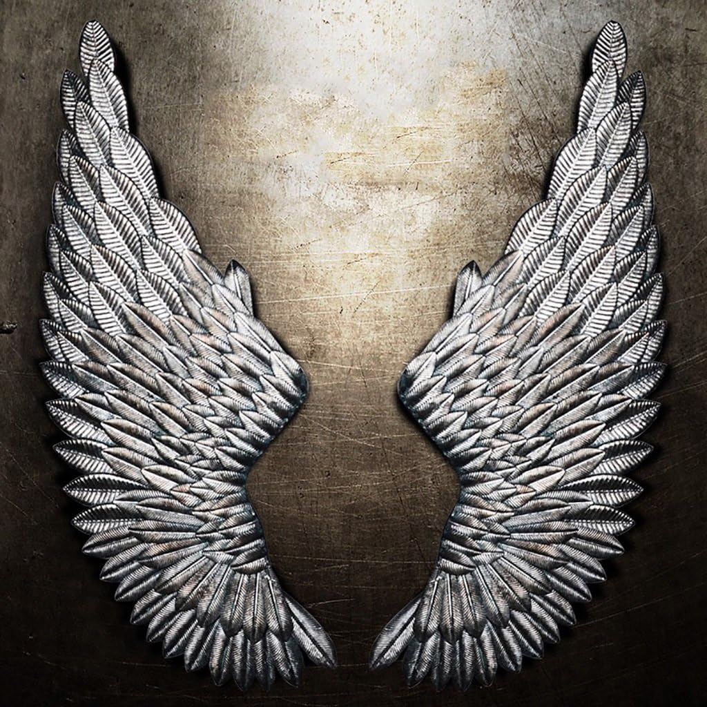 QBDS LOFT Industrial Wind Angel Wings Vintage Wall Hanger, Bar Internet Cafe Creative Iron Wall Decoration Decorative Pendant (Color : Silver)