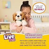 Little Live Pets My Really Real Puppy Patches Beagle Interactive Plush view 2