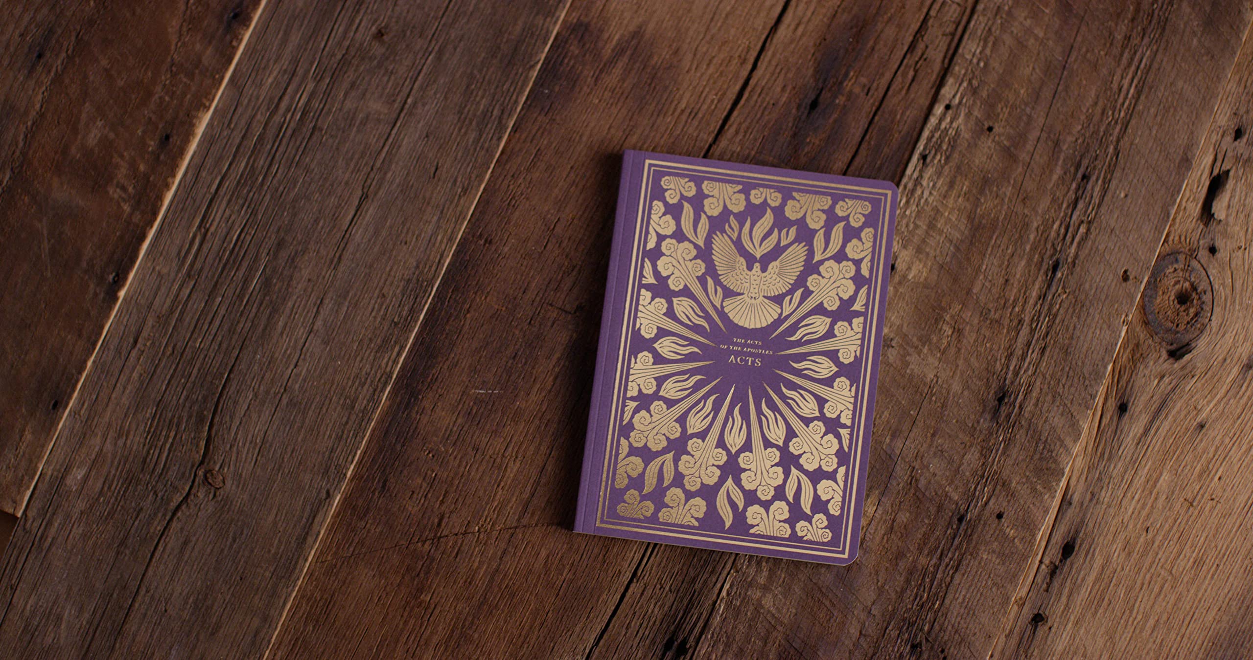 ESV Illuminated Scripture Journal: Acts