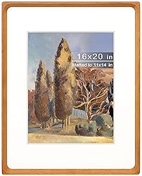Gdfmsc 16x20 Picture Frame with Mat for