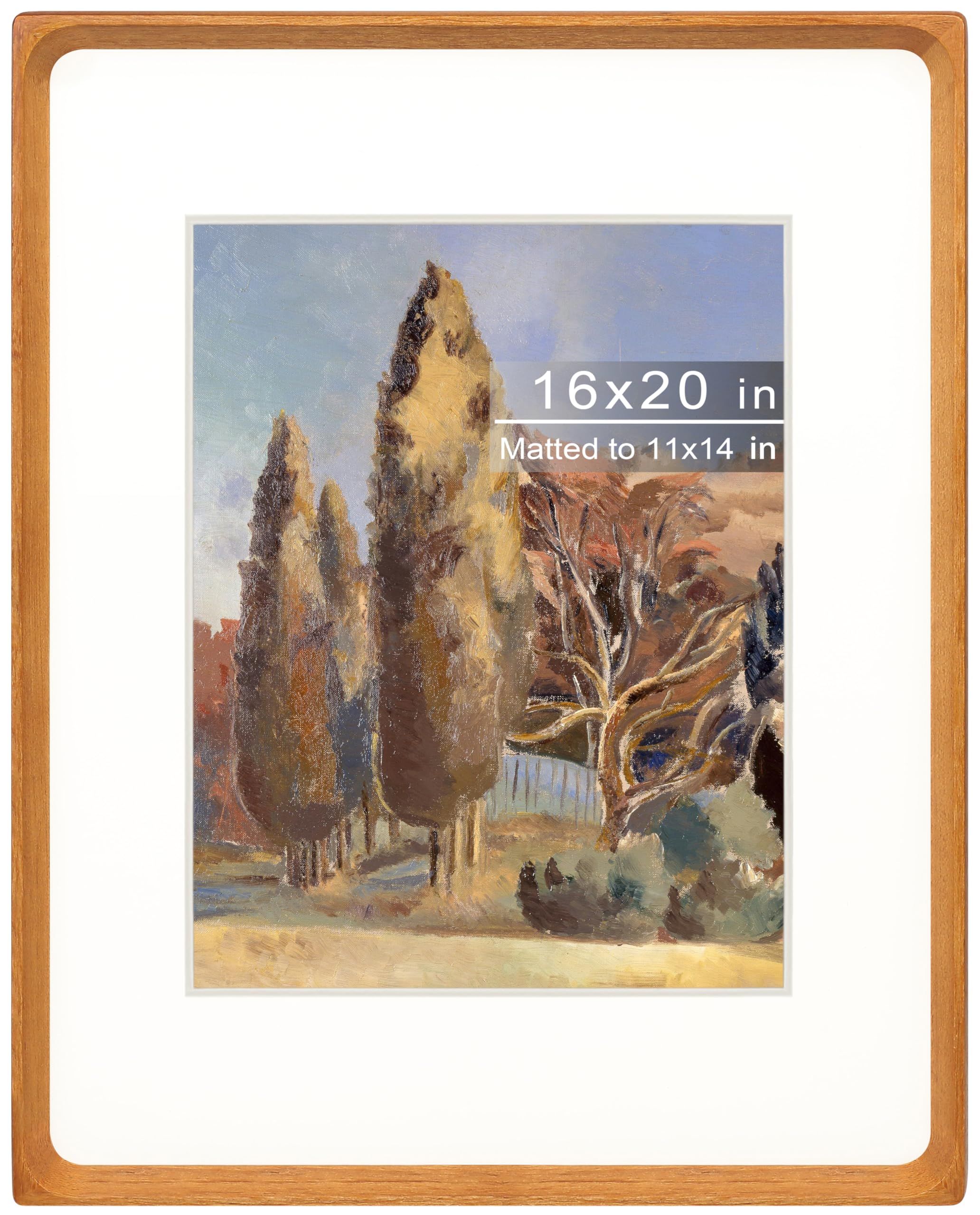 Gdfmsc 16x20 Picture Frame with Mat for