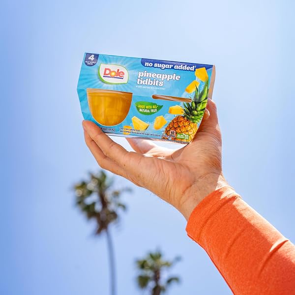 DOLE PINEAPPLE TIDBITS WITH NO SUGAR ADDED – DOLE FRUIT BOWLS SNACKS – 4 OZ FRUIT BOWLS – 12 PACK