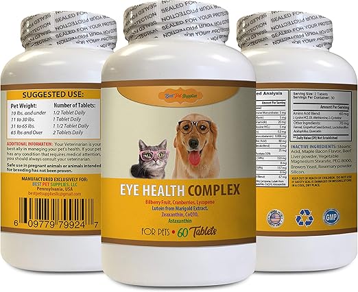 eye health for dogs