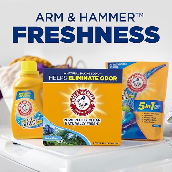 ARM & HAMMER POWDER LAUNDRY DETERGENT, ALPINE CLEAN, 9.56 LB, 155 LOADS