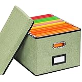 EOOUT 1 Pack File Organizer Box File Filing Box