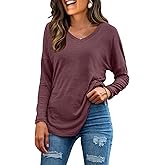 Neineiwu Womens Long Sleeve Tunic Tops Trendy Dressy Casual Fall Fashion 2025 V Neck T Shirt Blouses for Office Work