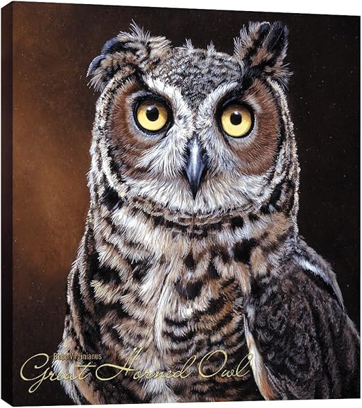 Amazon Com Tree Free Greetings Ecoart Home Decor Wall Plaque