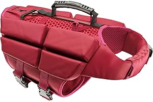 NOAH & PAW Dog Life Jacket, Human Standards Lifejacket Design, Dog Life Vest for Swimming and Boating, 3X Foam Support for Max Floating, Breathable Mesh, Salvavidas para Perros, Size M