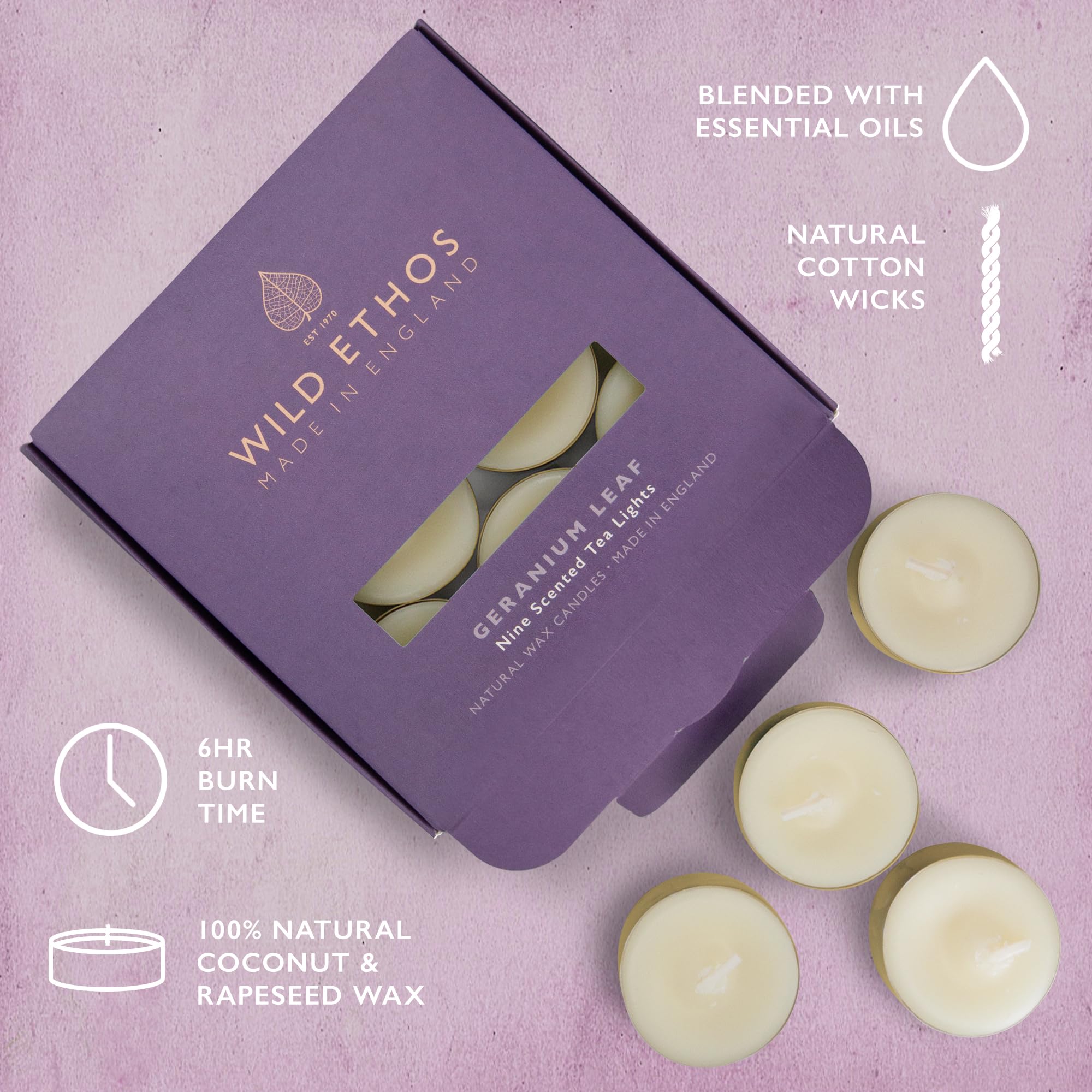 View 5