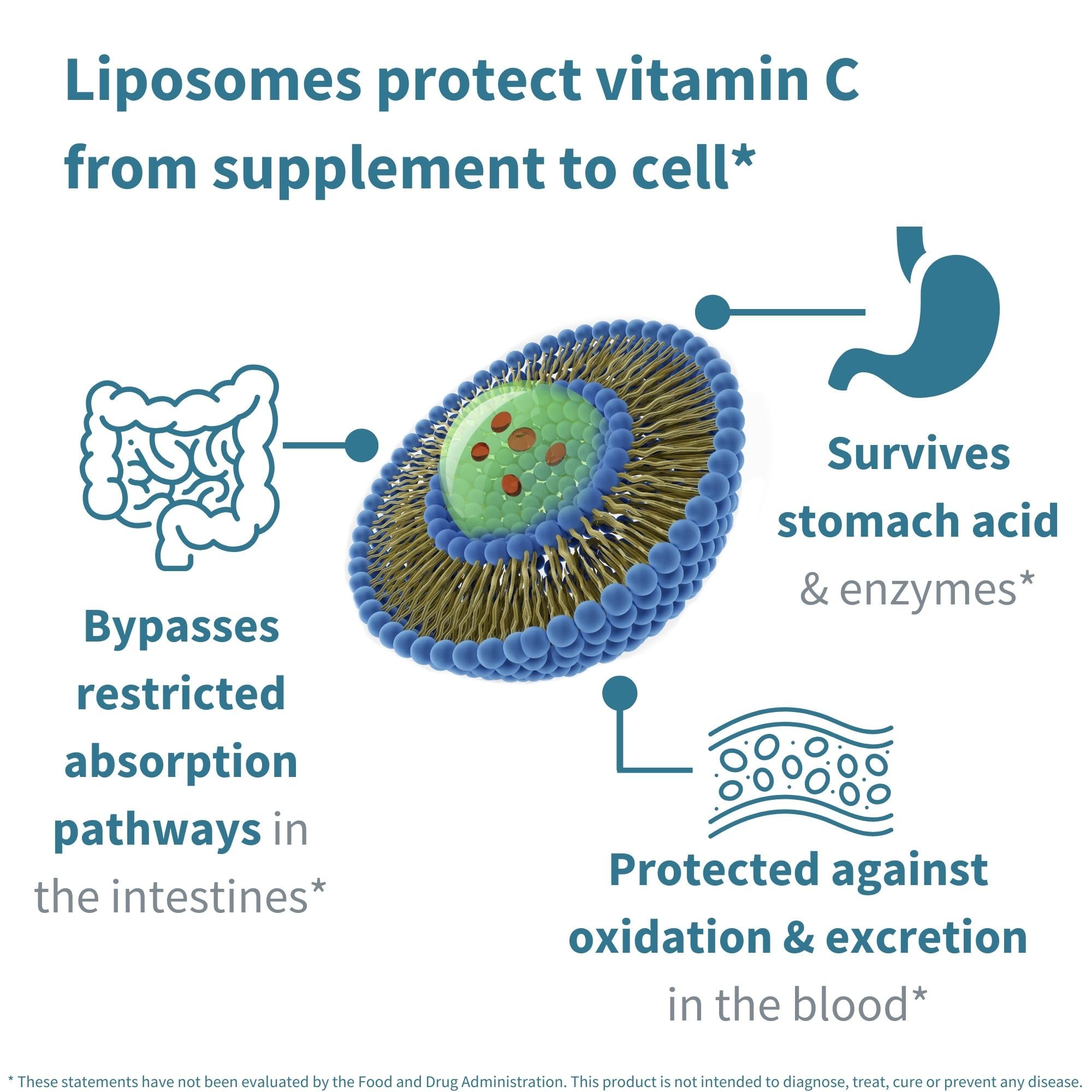High Absorption Liposomal Vitamin C 1000mg & Zinc Bisglycinate, 30-90 Servings, Liquid Immune Support for Adults & Kids 5+, Non-GMO, Sugar-Free, Citrus & Vanilla Flavor, by Igennus