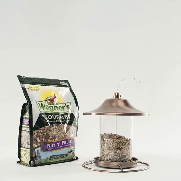 WAGNER’S 82072 GOURMET NUT & FRUIT WILD BIRD FOOD, 5 POUND (PACK OF 1)