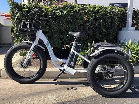amazon electric trike