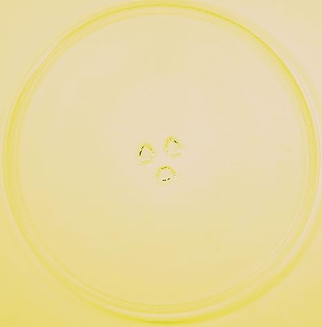 Microondas plato/Plato Giratorio/ - Plato de cristal para ...