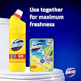 Domestos Citrus Fresh Thick Bleach 750 ml disinfectant 99.99% bacteria view 4