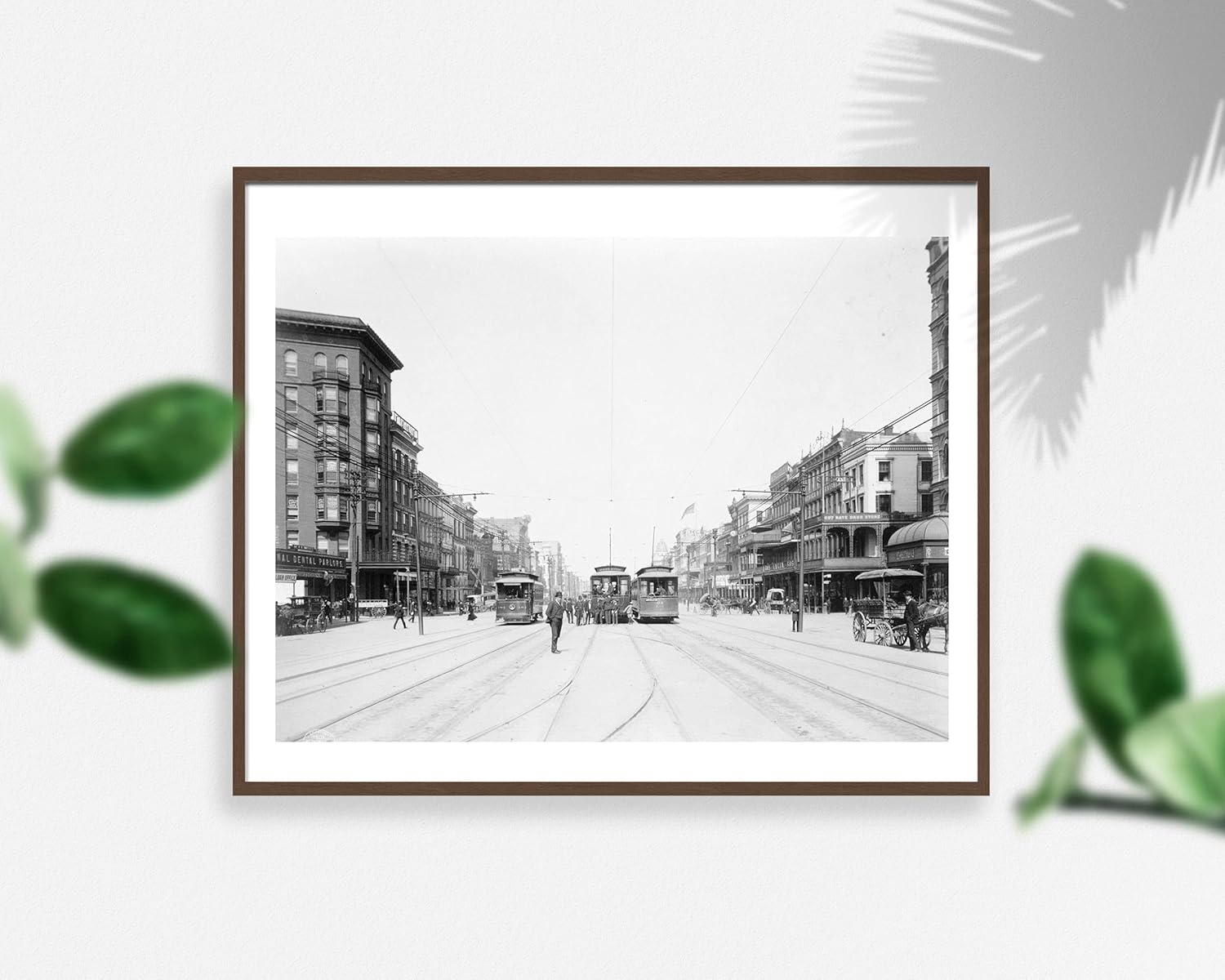 Photographs - 1907 photo Canal St., New Orleans, La. graphic. Vintage Black & White Photogr f8