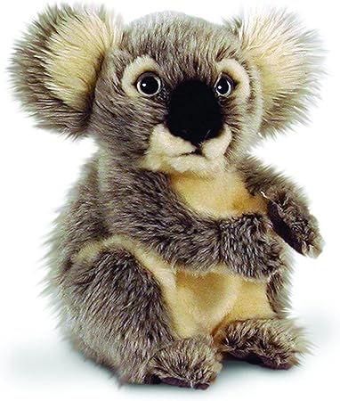 koala peluche toys