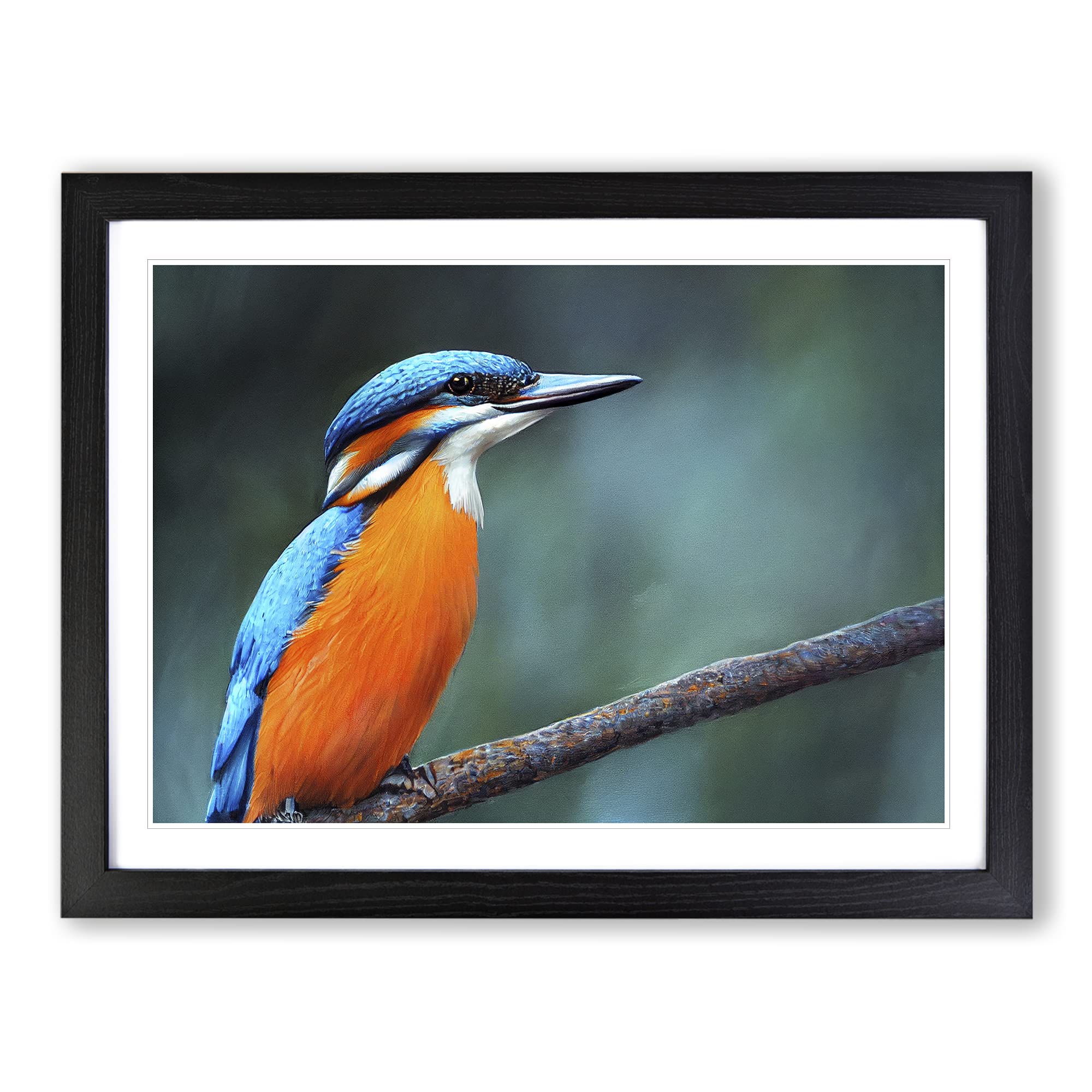 Welcoming Kingfisher Bird Framed Print | A4 Black Framed Wall Art | Ready to Hang | Modern Nature Picture | Living Room Bedroom Lounge Office
