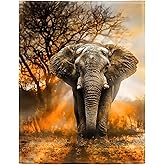 HommomH 60"x80" Orange African Elephant Blanket Soft Fluffy Fleece Throw for Women
