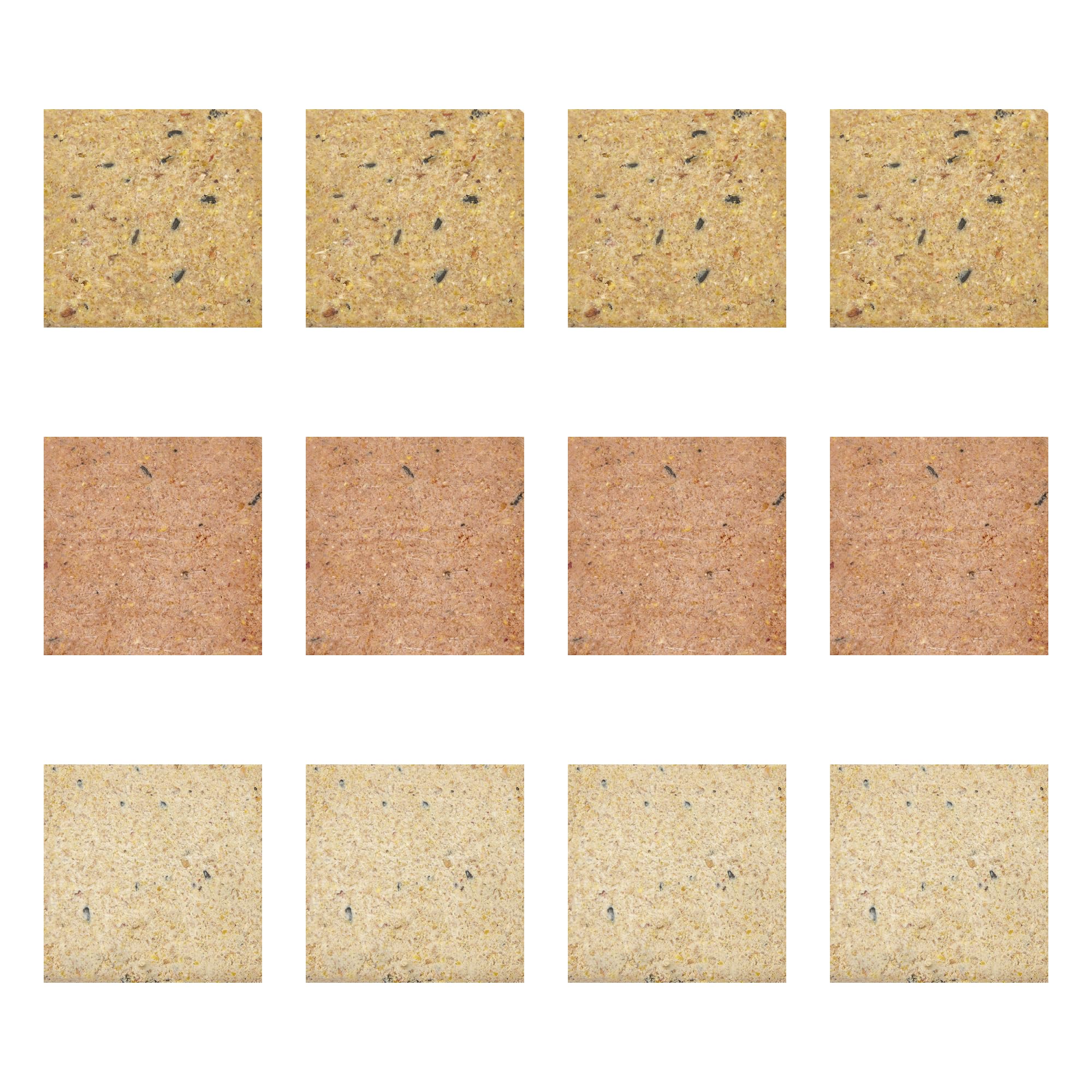 Garden Ting Mixed Suet Block Wild Bird Treat, 12 x 300g