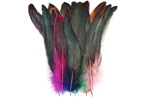 MehelloFeather Multicolor Rooster Feathers 100Pcs Natural Feather Bulk 6-8Inch for DIY Handmade Crafts Costume and Party Performances Decoration