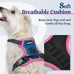 rabbitgoo Dog Harness No Pull with 2 Leash