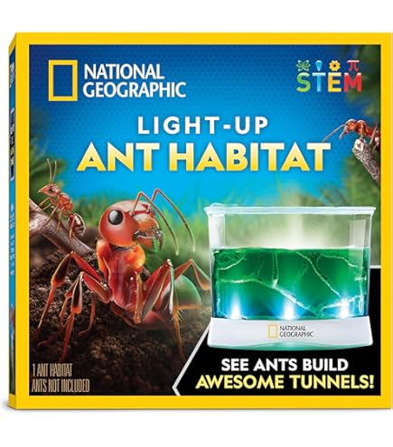 Amazon.com: Science Ant Farm Kit for Live Ants, FunKidz Ant Colony
