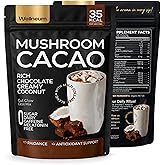 Mushroom Cacao Organic Powder Sugar Free - 1250mg Multi-Collagen Peptides Blend, Reishi, Chaga, Magnesium, L-Theanine, Turmer