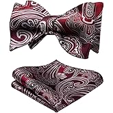 HISDERN Bow Ties for Men Paisley Bowties Mens Self Tie Bow Tie and Pocket Square Set Formal Tuxedo Wedding Bowtie