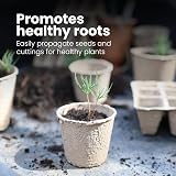 DIVCHI 96x 6cm Biodegradable Seedling Pots Paper Cups for Herbs Vegetables view 3