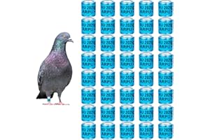 TOHONGADON 8mm 50Pcs Pigeon Leg Bands with 2025 AU Training Identify Birds Foot Ring 8mm Aluminium Dove Leg Rings for Pigeon Quail Parrot (Blue)