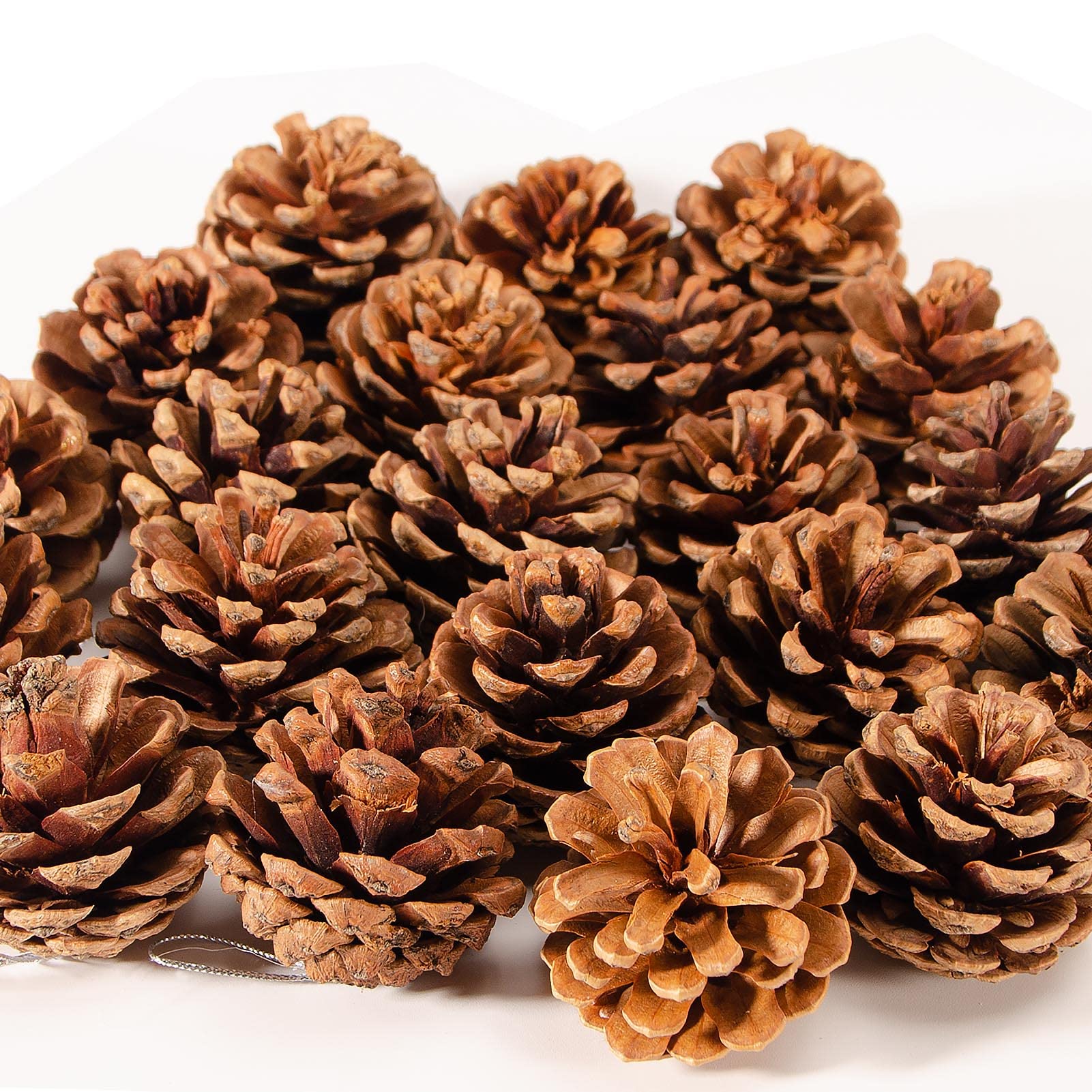 Photo 1 of 24PCS Christmas Natural Pine Cones,Rustic Pinecones with String for Crafts & Decorating Winter Xmax Holidays Vase and Table Bowl Fillers(Dia. 1.57-1.96 Inches)