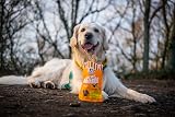 Laughing Dog Chewy Boosts 125g Chicken Ginger Dog Treats Training view 2