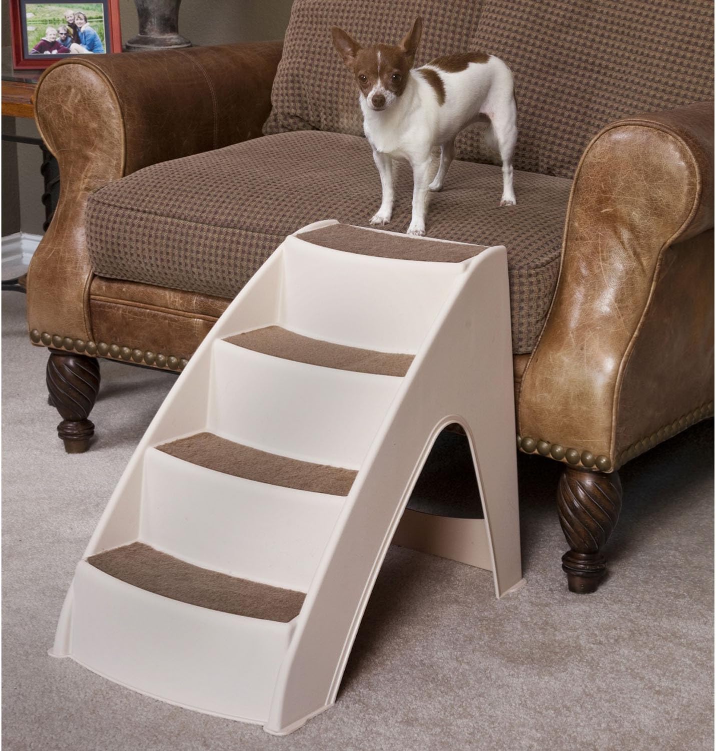 PetSafe CozyUp Pet Steps - PupSTEP Dog and Cat Stairs - Lightweight Durable Plastic Frame Supports up to 70 lb - Side Rails and Non-slip Feet Provide Added Security : Pet Supplies