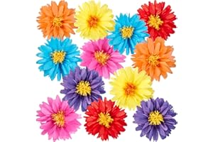 BALUN ADMHAIL 12PCS Mexican Paper Flowers Colorful Fiesta Tissue Paper Flowers Pom Poms Flowers Party Decoration for Wall Floral Carnival Wedding Birthday Craft Decor