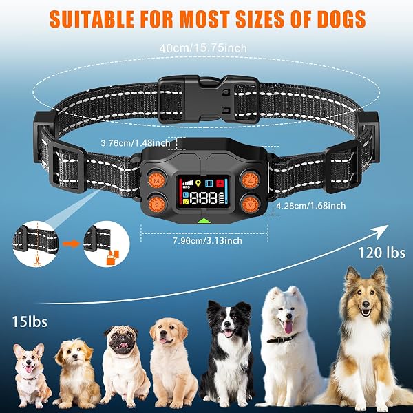 CHWWEN GPS WIRELESS DOG FENCE, GPS DOG COLLAR FENCE SYSTEM, ADJUSTABLE 25-999 YARDS RANGE, IPX7 WATERPROOF, 5 TRAINING MODES FOR MEDIUM/LARGE DOGS OVER 15 LBS