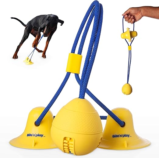 suction cup dog toy with ball