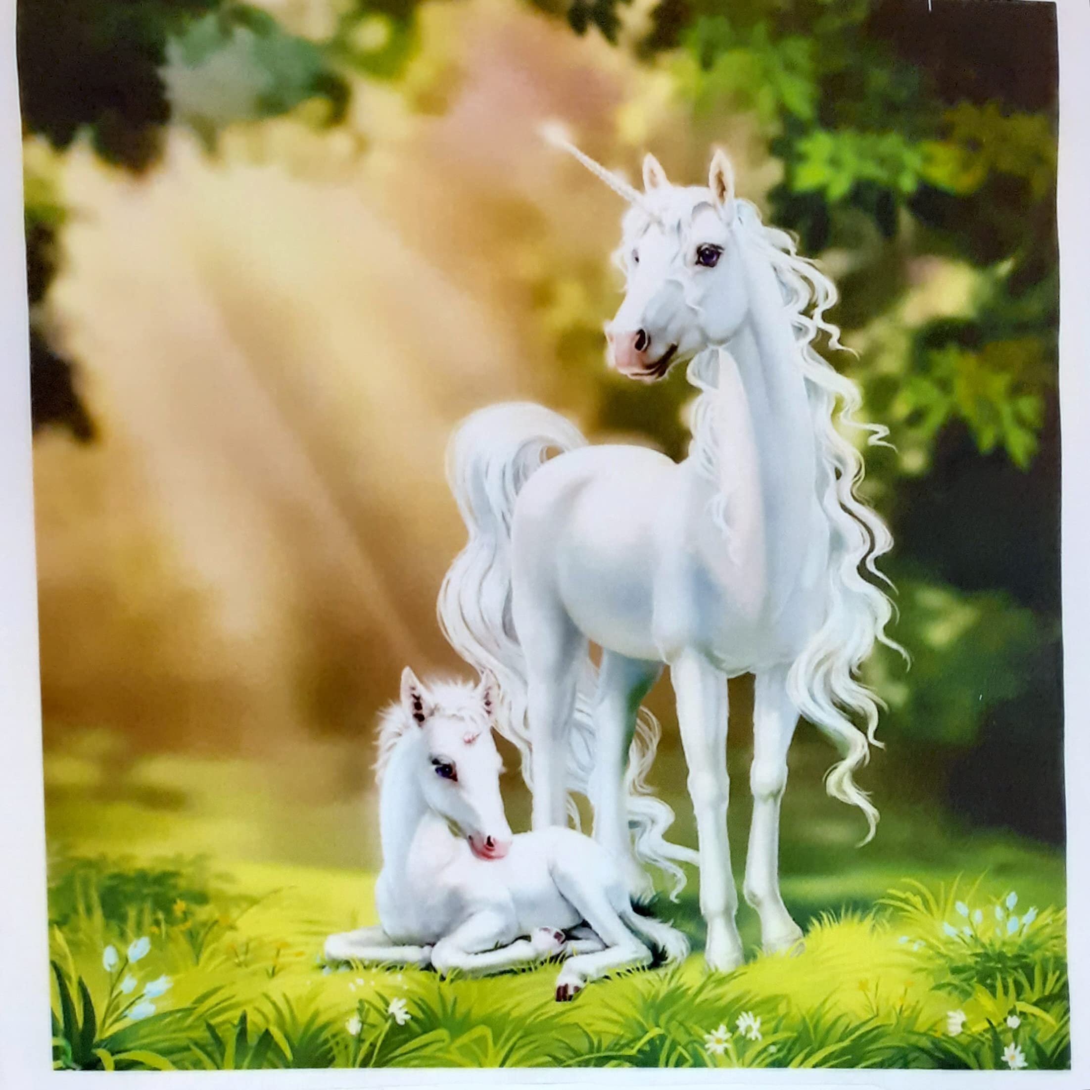 Small Size Unicorn. Digital Printed Fabric Panel. Cushion/Bag Panels. Linen Look Cotton Rich Fabric. 100% Cotton