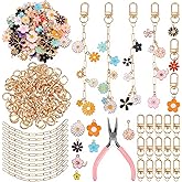 266Pcs Gold DIY Keychain Making Kit, Charm Jewelry Chain Making Crafts with 100 Flower Charms 20 Keychain Clips 120 Jump Rings 25 Extender Chain and Plier for DIY Crafts Accessories Women Bag Gift