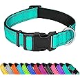 PWOD Reflective Dog Collar, Adjustable Soft Neoprene Padded Nylon Pet Collars with Buckle for Medium Dogs, Teal,M