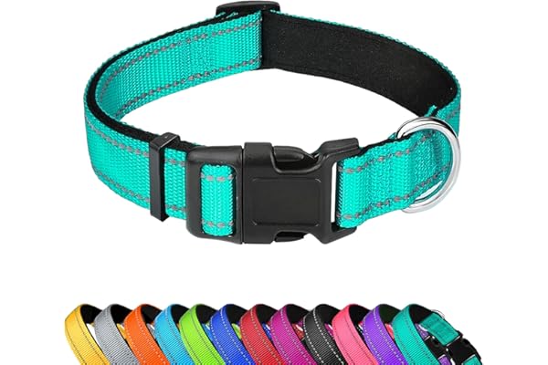 PWOD Reflective Dog Collar, Adjustable Soft Neoprene Padded Nylon Pet Collars with Buckle for Medium Dogs, Teal,M