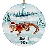 Santa Hat and Scarf Welcome Winter Red Uromastyx