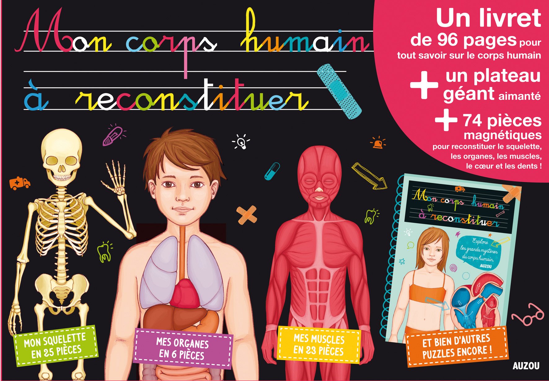 Dent Du Corps Humain  - Les Articulations Reliant Les Vertèbres Sont Renforcées Et Maintenues Par Plusieurs Ligaments Dont: